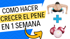 como hacer crecer el miembro en una semana